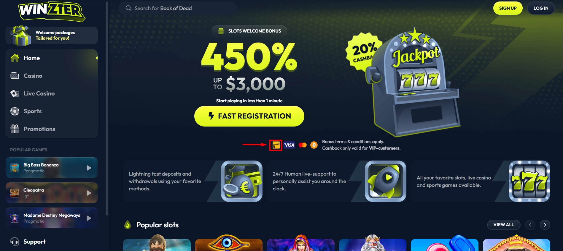 Winzter Casino cashier confirming Interac support alongside Visa and crypto payments